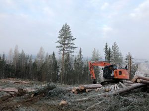 ZX135USL-6 skogsmaskin