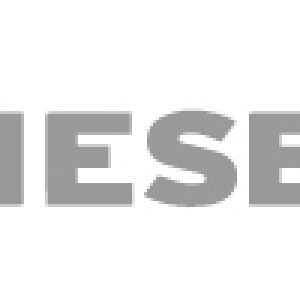 Kiesel logo